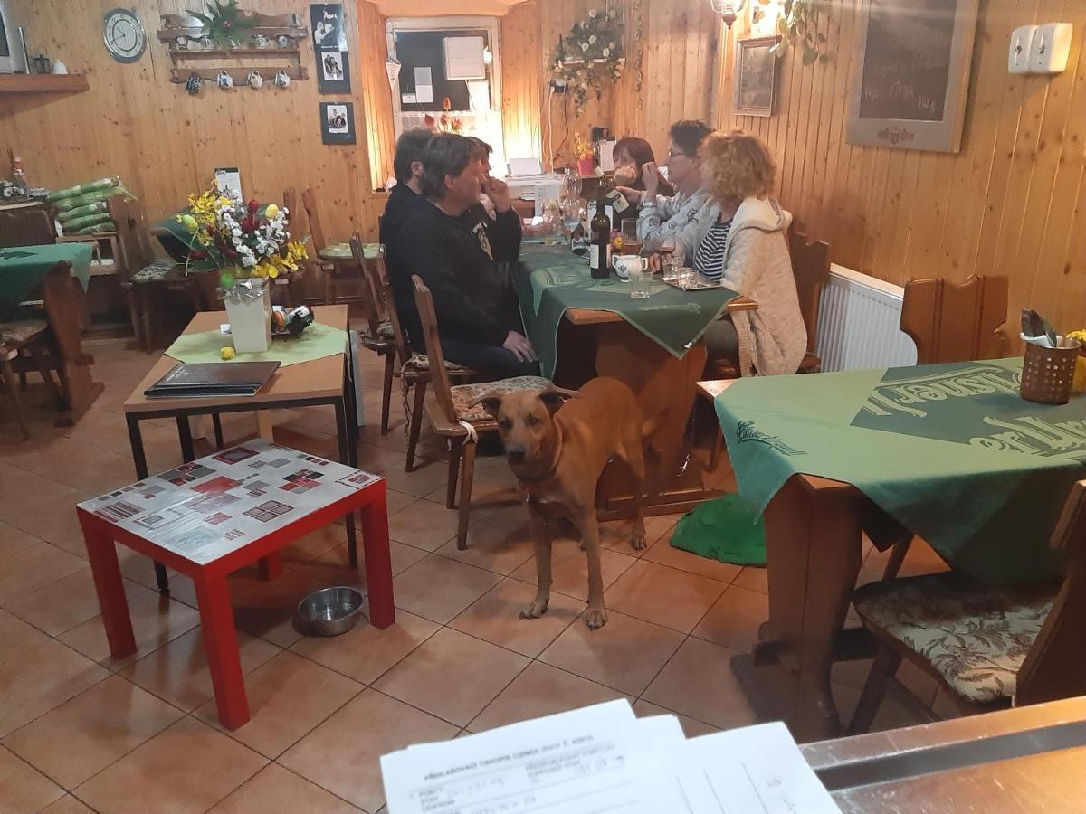 Pension Mikulka Mikulov v Krusnych Horach Dış mekan fotoğraf